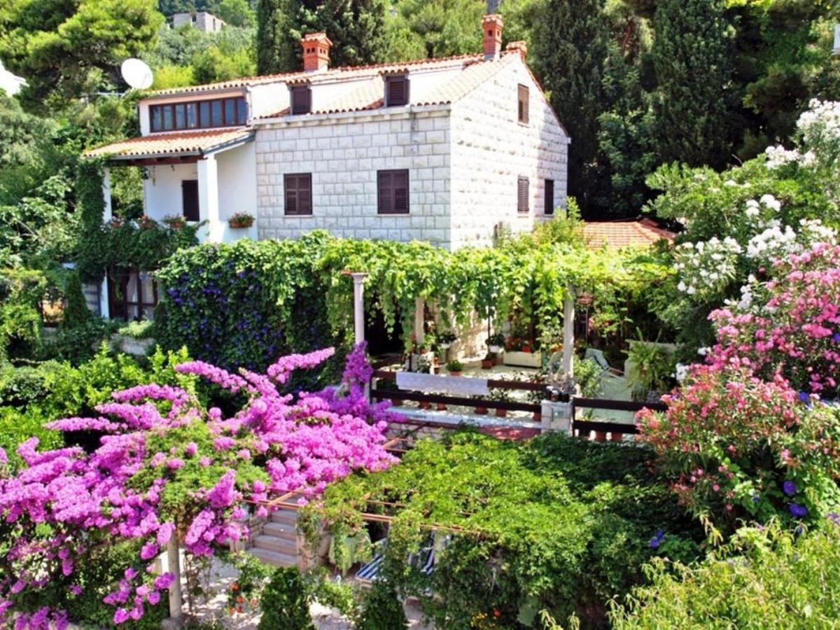 Guest House Foretic Dubrovnik Ngoại thất bức ảnh